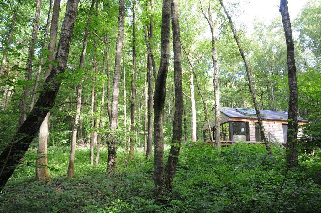 Droles D'Ecureuils Villa Les Nobertins Bagian luar foto
